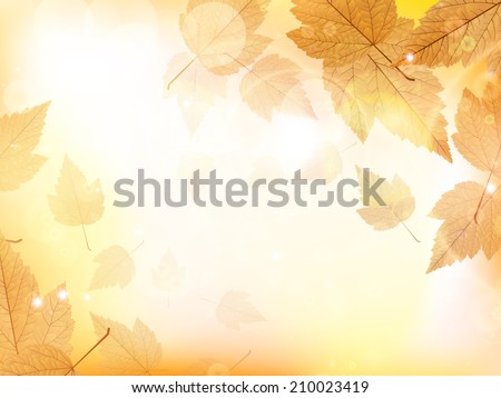 Autumn design background with leaves falling from the tree. EPS10