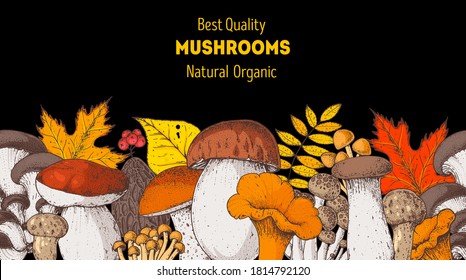 Autumn design. Edible mushrooms hand drawn. Vector illustrations collection. Hand drawn food. Cartoon mushrooms. Organic food. Forest mushrooms. Colorful mushrooms.