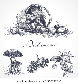 Autumn design elements