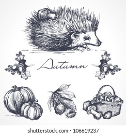 Autumn design elements