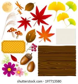 Autumn design elements