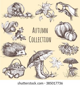 Autumn design elements