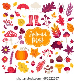 Autumn design elements. Leaves, berry, hedgehog, pumpkin, mushroom, snail, acorn, briar, rowan, bugs, flowers, hazelnut, umbrella, gumshoes on white background. 