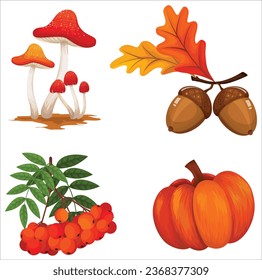 Skizze aus Pilz-Kürbis-Kürbis-Kürbiskirsche im Herbst