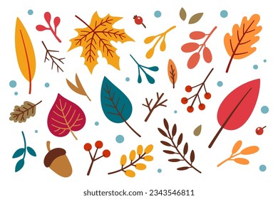 Autumn design elements set. Vector floral illustration. Fall leaves collection. Autumn elements - acorn, apple, leaves, berries. Flat design, doodle style.