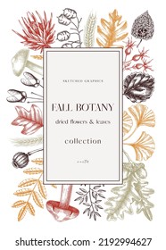 Autumn design with fall leaves and dried flowers. Thanksgiving background. Fall card or invitation. Sketched dried flowers, falling leaves, mushrooms, seeds frame. Botanical illustration in color