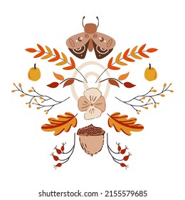 Autumn design in flat style, natural fall elements. Hand-drawn moth, leaves, brunches and acorns. Isolated vector illustration on white background for postcards, textiles, websites and social media