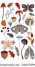 Autumn design in flat style, natural fall elements. Hand-drawn moths,mushrooms, leafs, brunches and acorn. Isolated vector illustration on white background for postcards, textiles, websites