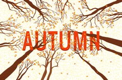 Autumn Design Illustrations.Trees Pattern