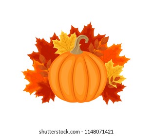 Autumn design with autumn leaves and pumpkin. Vector illustration isolated on white background.