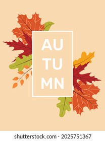 Autumn design with leaves. T-shirt fashion graphic. Vector illustration