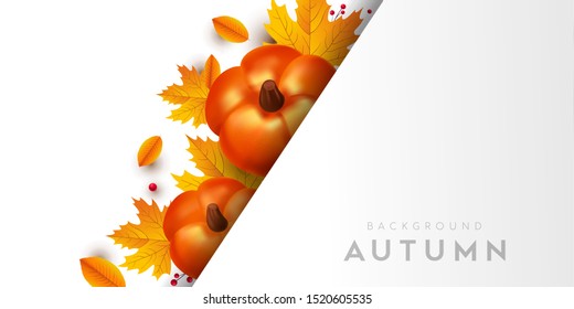 Autumn Design Template Background. Can use for sale banner, party invitation, greeting card, banner, web project.