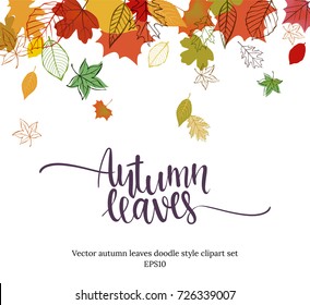 Autumn design. Vector illustration Autumn falling leaves doodle style. Templates for placards, banners, flyers, presentations, reports.