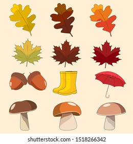 Autumn detailed elements in vector