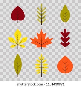 Autumn different leaves set in flat style. Red, green, yellow, orange leaf on transparent background. Maple, spruce, oak, rowan, birch autumnal foliage - vector illustration.