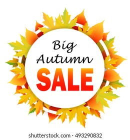 Autumn discount. Vector fall leaves. 