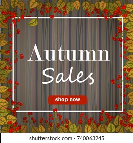 Autumn discount. Vector fall leaves