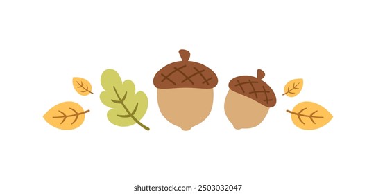 Autumn divider separator for Fall and Thanksgiving season. Vector isolated on white background.