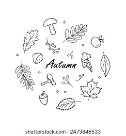 Autumn doodle icon set. Vector illustration of leaves acorns mushrooms apple chestnut berries. Sketch elements of fall.