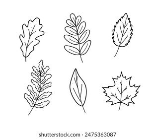 Autumn doodle icon set. Vector illustration of leaves maple oak aspen mountain ash. Sketch elements of fall.