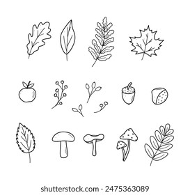 Autumn doodle icon set. Vector illustration of leaves acorns mushrooms apple chestnut berries. Sketch elements of fall.