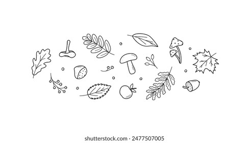 Autumn doodle icon set. Vector illustration of leaves acorns mushrooms apple chestnut berries. Sketch elements of fall.