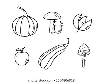 Autumn doodle icons. Vector illustration of autumn elements, sketch outline on a white background.