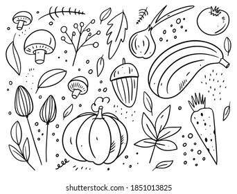 Autumn doodle set elements. Leaves and food elements. Black color cartoon style. Vector illustration. Isolated on white background.