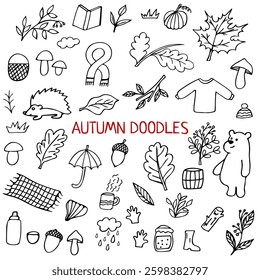 Autumn doodle set, fall collection