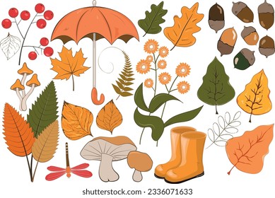 Herbstdoodle-Set, gefallene gelbe Blätter, Akkorde, Regenschirm, Gummistiefel, Pilze.