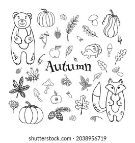 Autumn doodle set. Hand drawn sketches of leaves, berries, mushrooms, pumpkings, bear, fox, hedgehog etc. Black and white vector objects on isolated background.