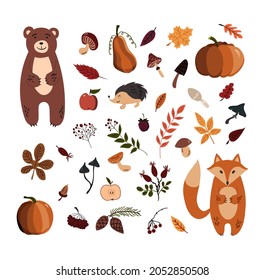 Autumn doodle set. Hand drawn leaves, berries, mushrooms, pumpkings, bear, fox, hedgehog etc. Colorful vector objects on isolated background.