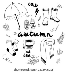 autumn doodle set. vector isolated hand drawn elements. autumn theme