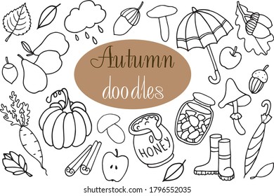 autumn doodle set, vector isolated hand drawn elements
