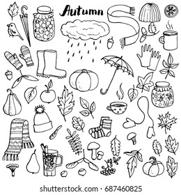 autumn doodle set, vector isolated hand drawn elements