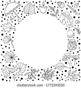 Autumn. Doodle style. Vector file. White background. Set with elements of the autumn concept. Vector isolated illustration with acorn, plants, branches, umbrellas, hat, scarf. 