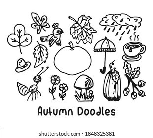 Autumn doodle vector illustrations. Fall theme hand drawn black line style. Autumn season cartoon drawing style.