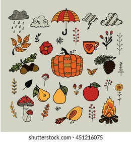 Autumn doodles. Fall. Cute hand drawn vector set