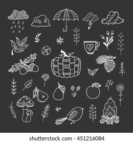 Autumn doodles. Fall. Cute hand drawn vector set