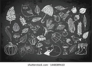 Autumn doodles on blackboard background. Fall illustration. Set of autumn design elements. Umbrellas, leaves, mushrooms, forest animals.