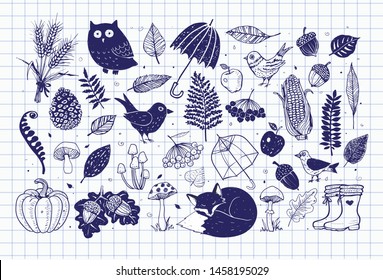 Autumn doodles on lined paper background