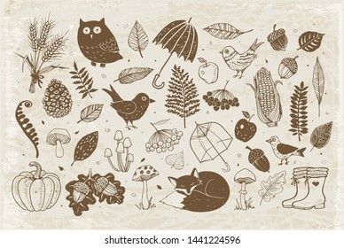 Autumn doodles on vintage background. Fall illustration. Set of autumn design elements. Umbrellas, leaves, mushrooms, forest animals.