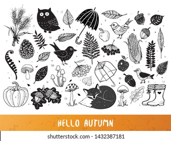 Autumn doodles on white background. Autumn illustration. Set of autumn design elements. Umbrellas, leaves, mushrooms, forest animals.