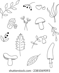 autumn doodles on white background