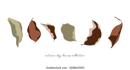 Autumn dried leaves illustration in trendy flat minimal style and earthy tones. Fall leaf chic concept
