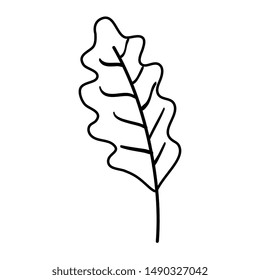 autumn dry leaf nature icon