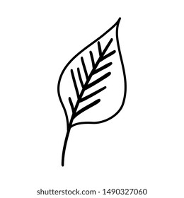 autumn dry leaf nature icon