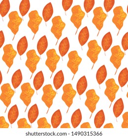 autumn dry leafs nature pattern