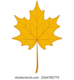 Autumn dry maple leaf, symbol Canada maple autumn fallen leaf