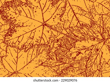 Autumn Dry Maple Leaves Backdrop - Illustration